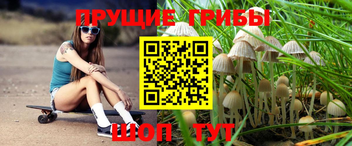 Галлюциногенные грибы Cubensis Красноярск