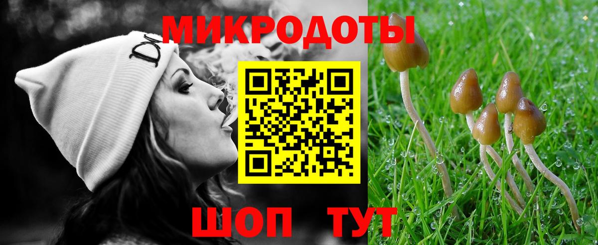 Псилоцибиновые грибы Cubensis  Вход с VPN  Красноярск 